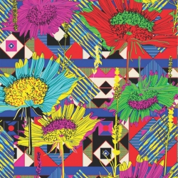 Estampas divertidas